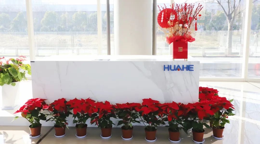 喜迎新年||年年皆勝意，歲歲都歡愉